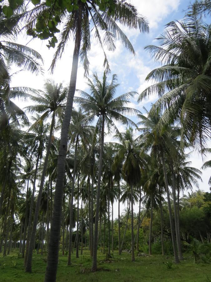 Smera Grand Maamigili Island Ngoại thất bức ảnh